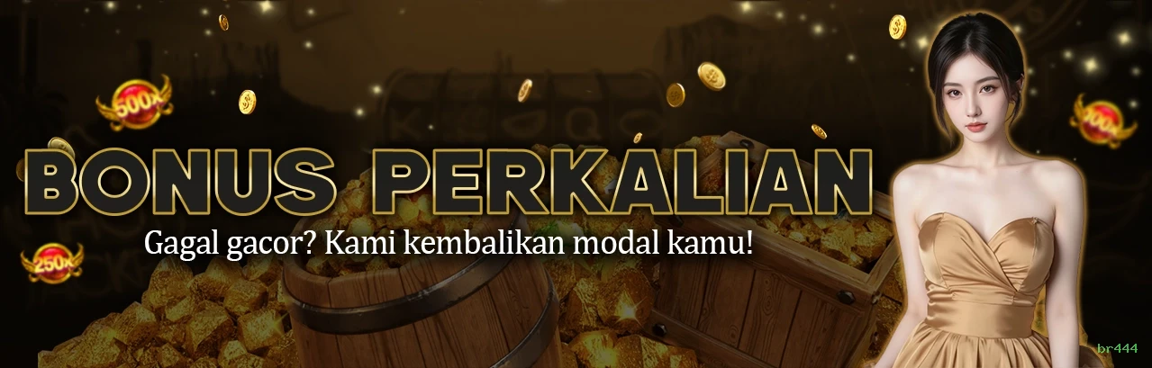 Login br444